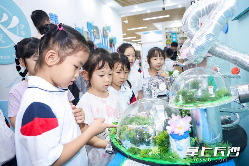 高年级学生创作的科创精品也成功吸引了萌新们的关注。 高年级学生创作的科创精品也成功吸引了萌新们的关注。