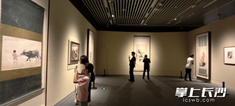 展览吸引众多年轻人观展。均为长沙晚报全媒体记者 肖舞摄 展览吸引众多年轻人观展。均为长沙晚报全媒体记者 肖舞摄