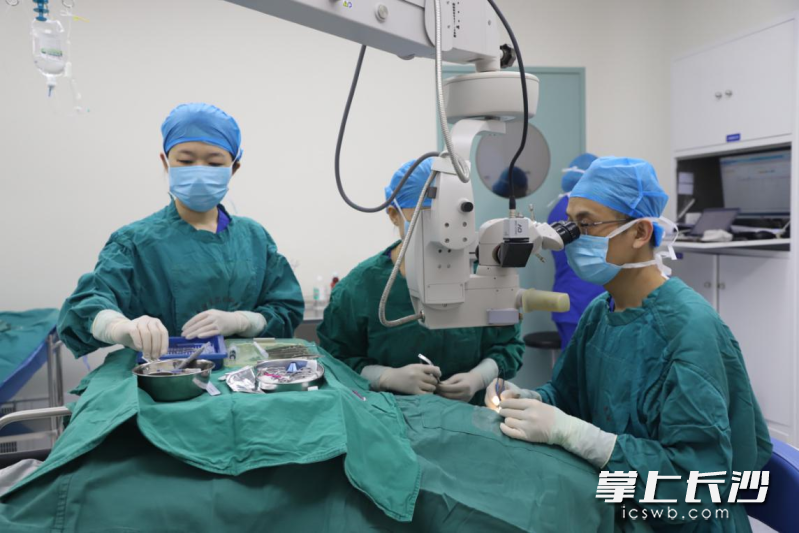 医院角膜眼表科王科华主任医师实施角膜移植术。 医院角膜眼表科王科华主任医师实施角膜移植术。
