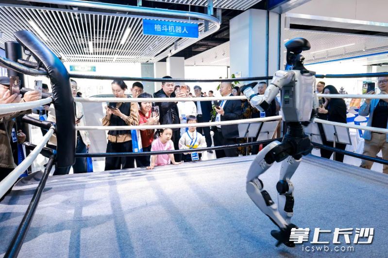 机器人亮相格斗场。 均为长沙晚报通讯员毕登供图 机器人亮相格斗场。 均为长沙晚报通讯员毕登供图