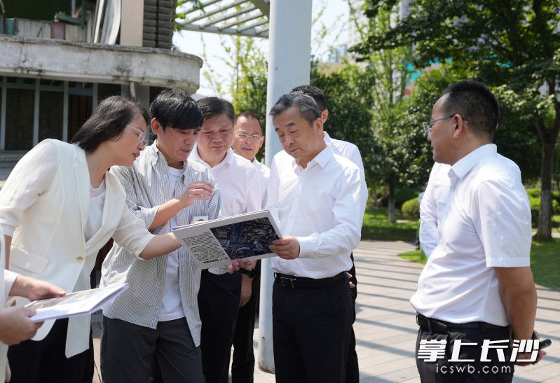 陈竞在五一绿化广场调研。 陈竞在五一绿化广场调研。