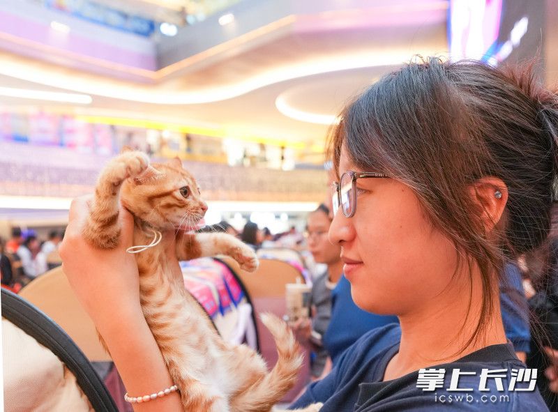 女孩和一只小猫互动。