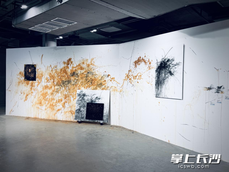 作品《岳麓山-绽放》。除署名外均为受访者供图 作品《岳麓山-绽放》。除署名外均为受访者供图