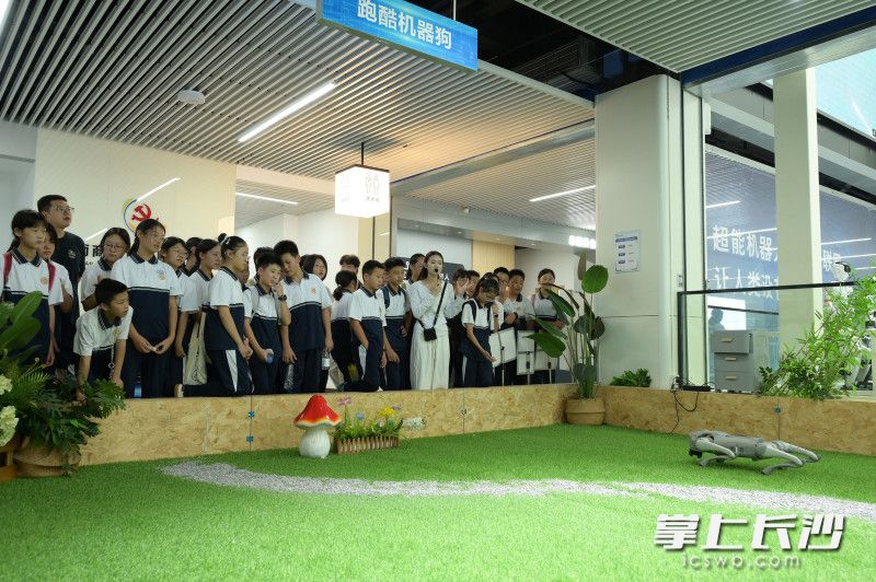 百余款机器人吸引不少学生驻足。均为主办方供图 百余款机器人吸引不少学生驻足。均为主办方供图