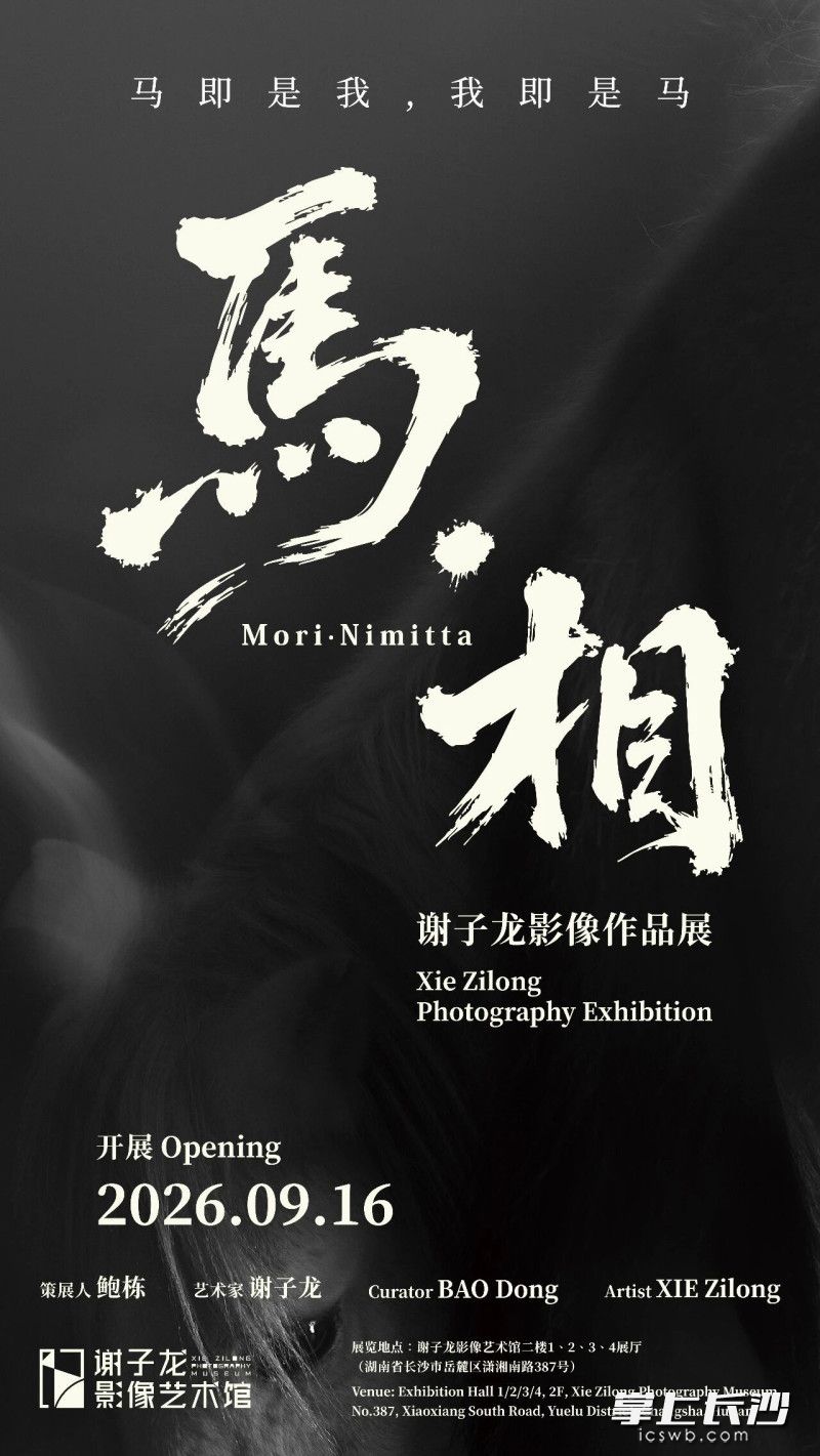 展览海报。谢子龙影像艺术馆供图