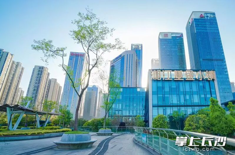 作为全省唯一的省级基金小镇,湘江基金小镇目前已引入基金企业超1000家,管理规模突破4800亿元,稳居全国基金小镇第一梯队。湘江国投 供图 作为全省唯一的省级基金小镇,湘江基金小镇目前已引入基金企业超1000家,管理规模突破4800亿元,稳居全国基金小镇第一梯队。湘江国投 供图