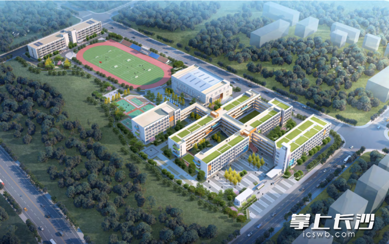 新田中学项目规划图。 通讯员 李后亮 供图