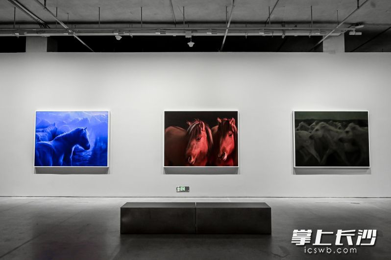 9月16日,谢子龙影像艺术馆《马·相:谢子龙影像作品展》开幕。通讯员 戴子敏 供图 9月16日,谢子龙影像艺术馆《马·相:谢子龙影像作品展》开幕。通讯员 戴子敏 供图