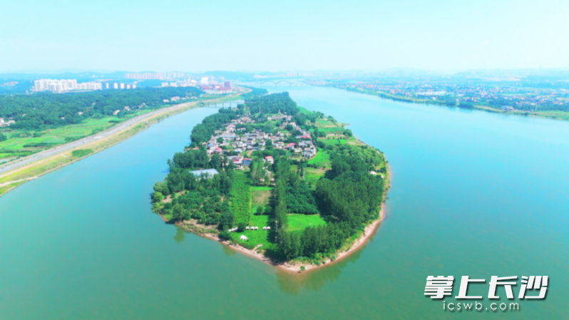 鹅洲 鹅洲