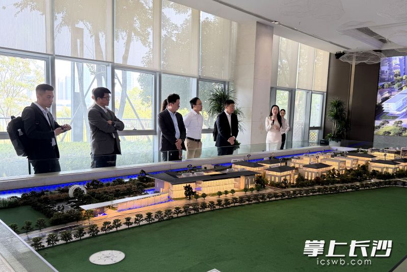 金融机构代表调研湖南金融中心,并参观湘江基金小镇。 金融机构代表调研湖南金融中心,并参观湘江基金小镇。