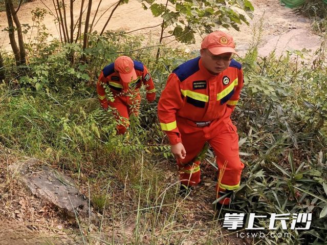 队员徒步巡山。 均为长沙晚报通讯员 向玲娅供图 队员徒步巡山。 均为长沙晚报通讯员 向玲娅供图