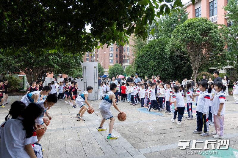 主题项目成果展区吸引了大家驻足。均为长沙晚报通讯员 刘晶 供图 主题项目成果展区吸引了大家驻足。均为长沙晚报通讯员 刘晶 供图