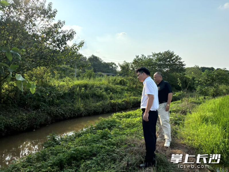 胡浪（左一）现场检查入河排口整治情况。 均为受访方供图