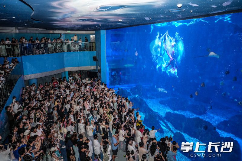 长沙湘江海洋王国里,“美人鱼”换上主题装束与千尾海鱼共游,上演水下嫦娥奔月主题演出。长沙晚报全媒体记者 周数邑 通讯员 罗斌 摄 长沙湘江海洋王国里,“美人鱼”换上主题装束与千尾海鱼共游,上演水下嫦娥奔月主题演出。长沙晚报全媒体记者 周数邑 通讯员 罗斌 摄