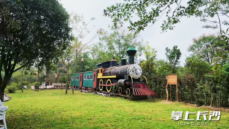 废弃旧火车也成了园里的一道风景。 废弃旧火车也成了园里的一道风景。
