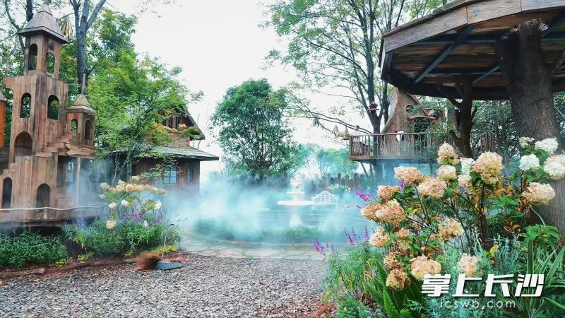 30亩林地之中,20座手工打造的原木童话木屋散落在绿荫之下。均为全媒体记者 陈飞 摄 30亩林地之中,20座手工打造的原木童话木屋散落在绿荫之下。均为全媒体记者 陈飞 摄