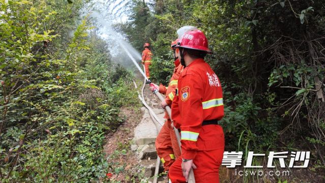 连日来,湘江新区各街镇紧抓森林防火关键期,组织半开展森林防灭火应急演练。 连日来,湘江新区各街镇紧抓森林防火关键期,组织半开展森林防灭火应急演练。