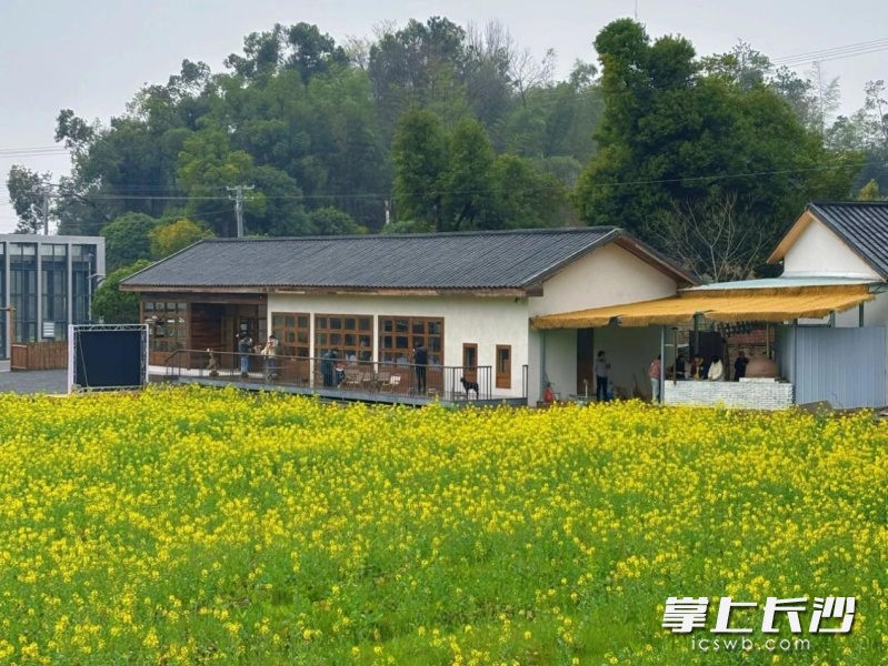 青山铺镇野孩子自然农场。 青山铺镇野孩子自然农场。