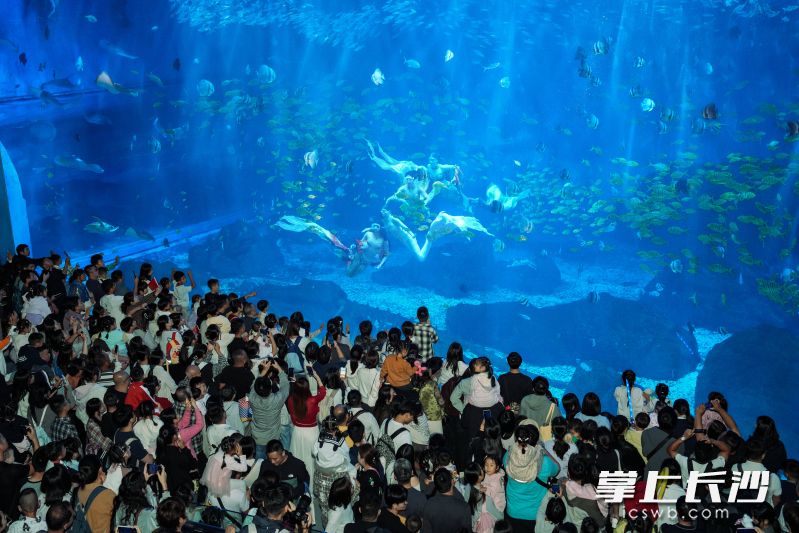 水下国风表演人气火爆。通讯员 吴劲蕾 供图 水下国风表演人气火爆。通讯员 吴劲蕾 供图