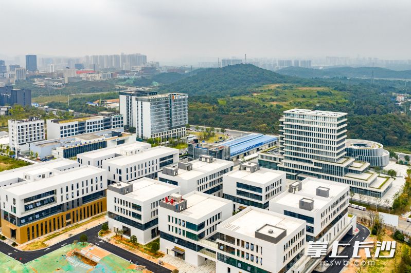 湘江智能网联交通产业园项目建设现场,8栋白黄相间的建筑已矗立成形。均为 湘江早报全媒体记者 罗钟杰 摄 湘江智能网联交通产业园项目建设现场,8栋白黄相间的建筑已矗立成形。均为 湘江早报全媒体记者 罗钟杰 摄