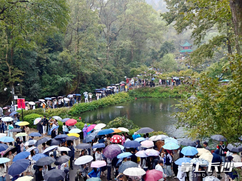 截至10月3日17时,麓山景区当日游客量已超过7万人次。均为长沙晚报通讯员 蒋海霞 摄 截至10月3日17时,麓山景区当日游客量已超过7万人次。均为长沙晚报通讯员 蒋海霞 摄