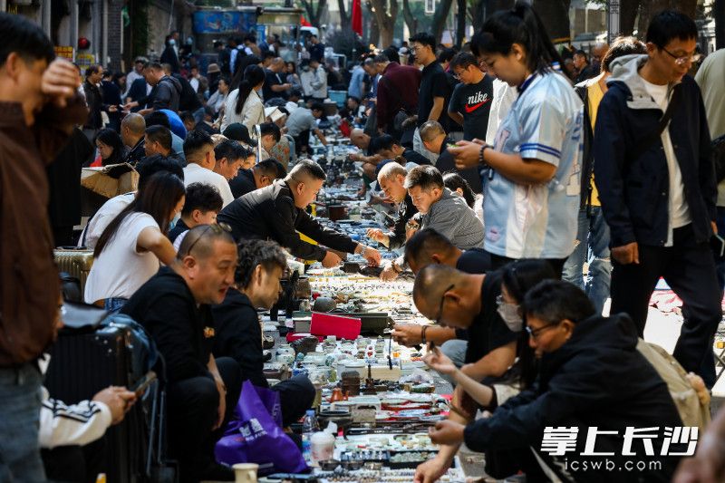 大麓珍宝古玩城秋季古玩杂项集市开幕。 均为长沙晚报全媒体记者董阳摄 大麓珍宝古玩城秋季古玩杂项集市开幕。 均为长沙晚报全媒体记者董阳摄