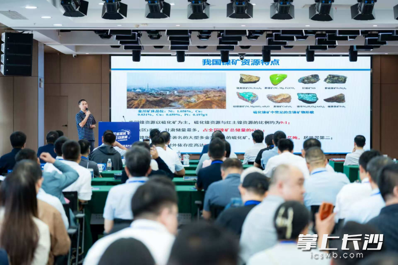 主旨报告。