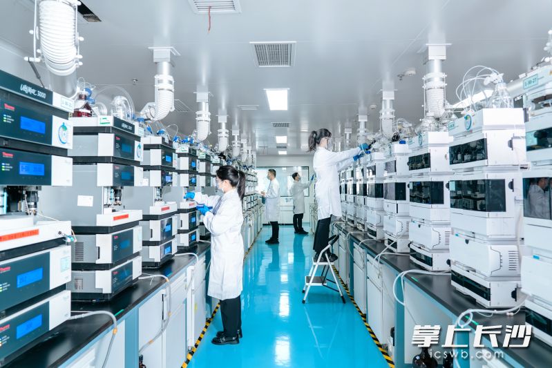 九典制药生产车间。均为园区供图