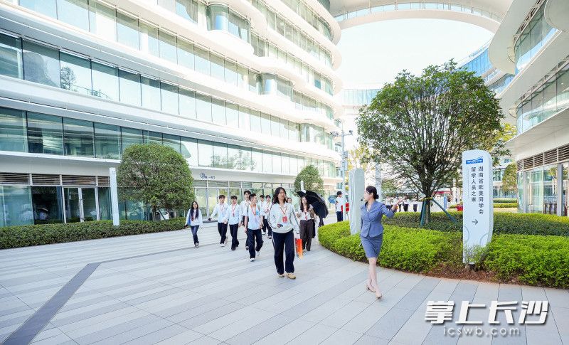 学子们来到大泽湖海归小镇。 学子们来到大泽湖海归小镇。