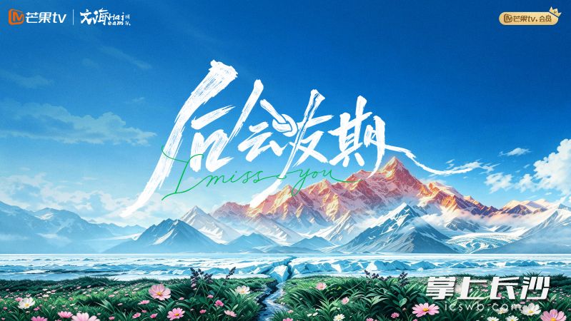 节目海报