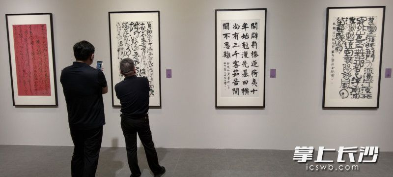 展览汇集胡紫桂十余年艺术求索成果。 展览汇集胡紫桂十余年艺术求索成果。