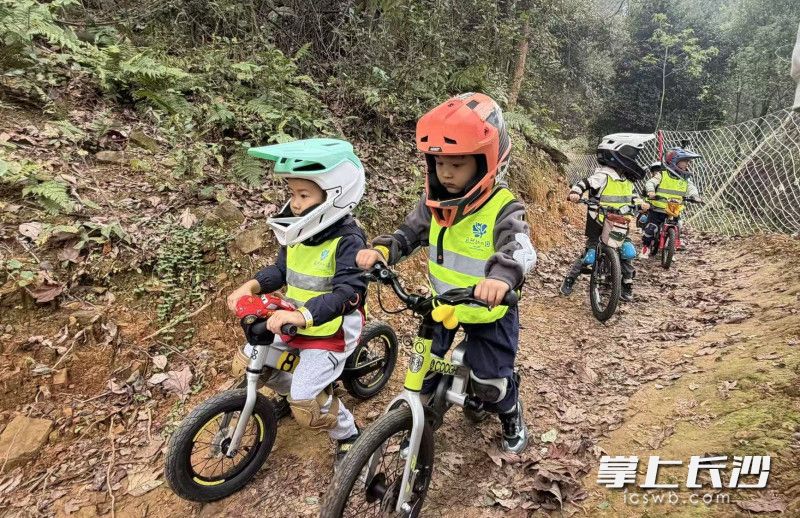 湖南湘江新区自然幼儿园的小朋友在天麓山地公园开展户外活动。受访人供图 湖南湘江新区自然幼儿园的小朋友在天麓山地公园开展户外活动。受访人供图