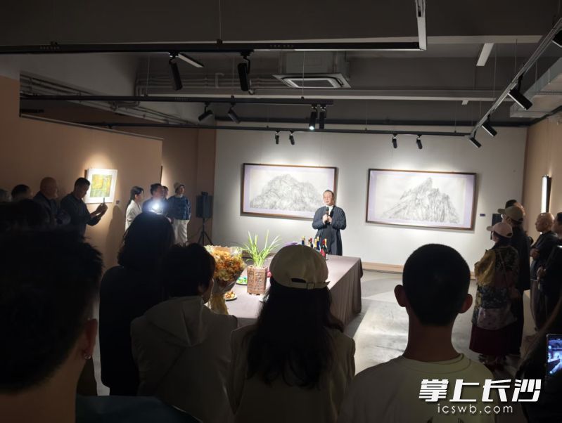 参展艺术家进行讲解 参展艺术家进行讲解