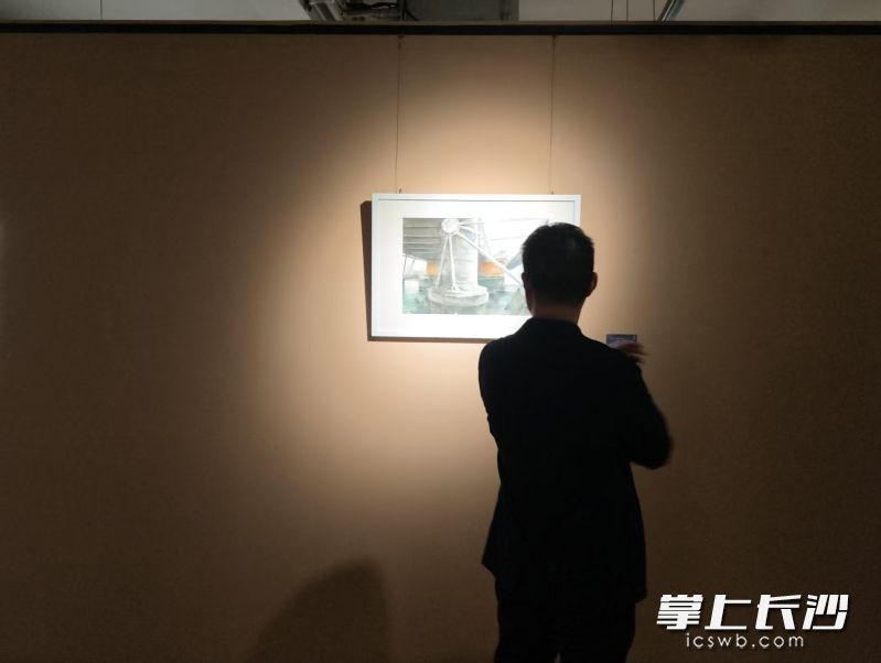 市民观展 均为长沙晚报全媒体记者 宁莎鸥 摄 市民观展 均为长沙晚报全媒体记者 宁莎鸥 摄