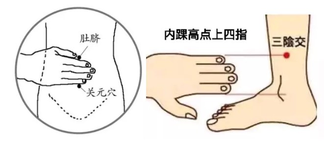 三阴交和关元穴是女性调节气血的养生要穴。医院供图