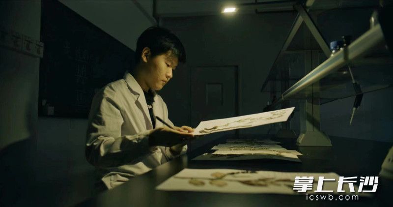参加活动的学生正在制作植物标本。 参加活动的学生正在制作植物标本。