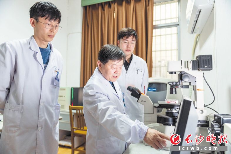 王维教授(前)在实验室指导工作人员如何分析相关数据。均为长沙晚报全媒体记者 郭雨滴 摄 王维教授(前)在实验室指导工作人员如何分析相关数据。均为长沙晚报全媒体记者 郭雨滴 摄