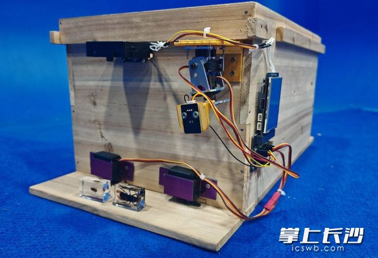 图为“基于AI视觉的激光自御蜂箱”获奖作品。均为学校供图 图为“基于AI视觉的激光自御蜂箱”获奖作品。均为学校供图