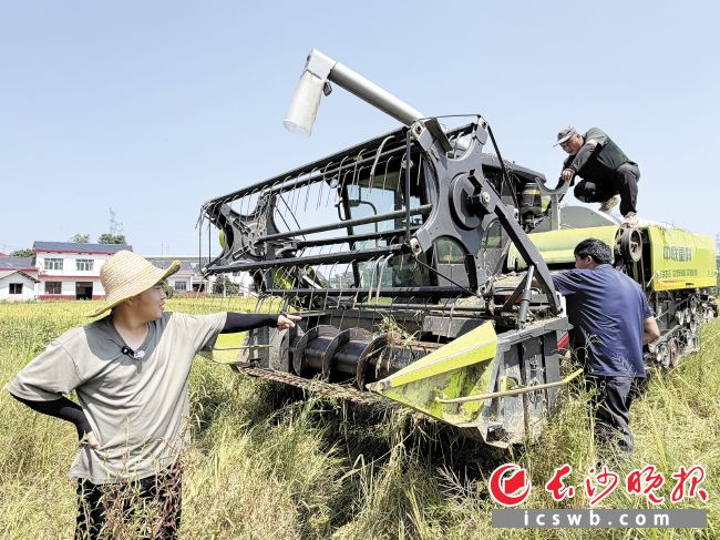 收割机出了点小故障,何柯(左)一眼就看出问题出在哪。均为长沙晚报全媒体记者 洪虹 徐珍珍 摄影报道 收割机出了点小故障,何柯(左)一眼就看出问题出在哪。均为长沙晚报全媒体记者 洪虹 徐珍珍 摄影报道