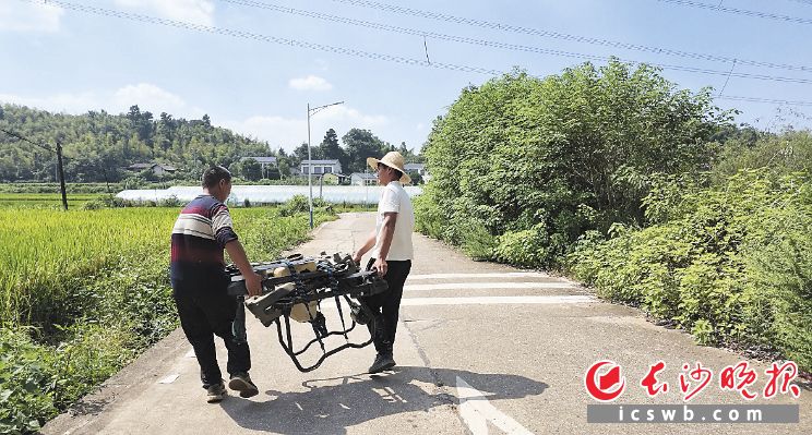 朱启波(右)准备用无人机进行田间喷药。 朱启波(右)准备用无人机进行田间喷药。