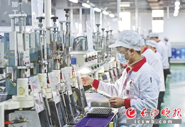长步道的工业镜头已广泛应用于新能源、3C电子、半导体、医疗等领域的视觉检测系统。 长沙晚报全媒体记者 王志伟 摄 长步道的工业镜头已广泛应用于新能源、3C电子、半导体、医疗等领域的视觉检测系统。 长沙晚报全媒体记者 王志伟 摄