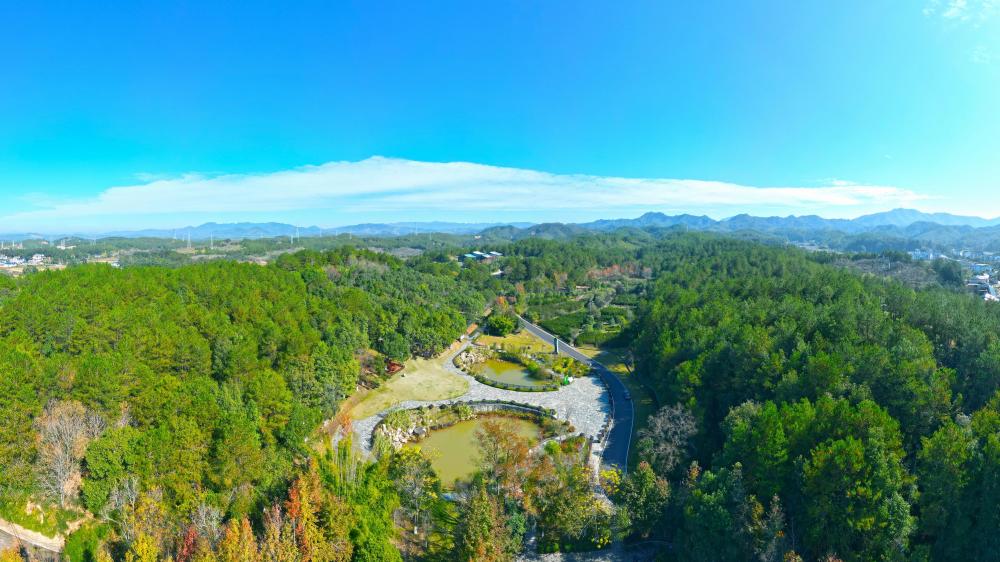 长汀河田世纪生态园(现长汀县水土保持科教园)。(本图片由长汀县融媒体中心提供) 长汀河田世纪生态园(现长汀县水土保持科教园)。(本图片由长汀县融媒体中心提供)