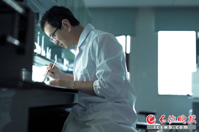 刘志全在解剖镜下观察红菜薹种质材料。 刘志全在解剖镜下观察红菜薹种质材料。
