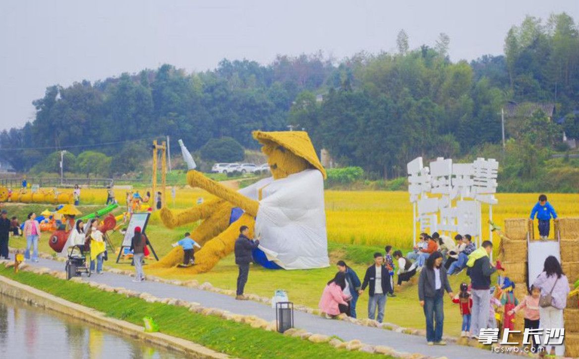 “我在开慧有丘田”项目打卡点。星沙时报全媒体记者 章帝 摄