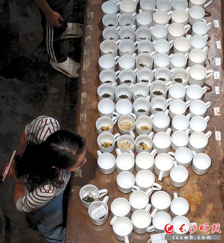2元葱油粑粑、5元花生瓜子、8元茶无限续水,“258”定价体系让茶馆成了全年龄段的社交乐园。均为长沙晚报全媒体记者 邹麟 摄 2元葱油粑粑、5元花生瓜子、8元茶无限续水,“258”定价体系让茶馆成了全年龄段的社交乐园。均为长沙晚报全媒体记者 邹麟 摄