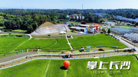 我在开慧有丘田认领地。 我在开慧有丘田认领地。