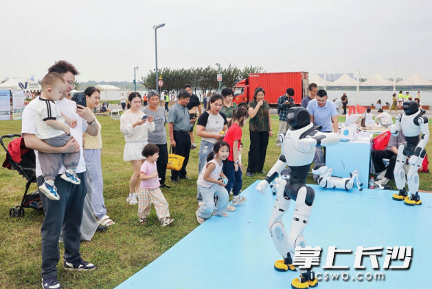 在松雅湖畔,市民观看机器人舞蹈。活动方供图 在松雅湖畔,市民观看机器人舞蹈。活动方供图