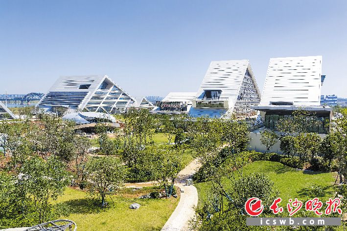 湘江科学中心建筑群与园林景观相映成景，目前项目已进入装修扫尾阶段。 湘江早报全媒体记者 罗钟杰 摄