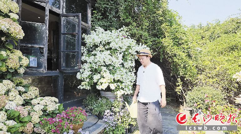 禾润农场里,多个品种的三角梅次第绽放,姚佐春每天精心打理。 均为长沙晚报全媒体记者 徐珍珍 摄 禾润农场里,多个品种的三角梅次第绽放,姚佐春每天精心打理。 均为长沙晚报全媒体记者 徐珍珍 摄